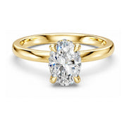 Hidden Halo Oval 1,06 ct. - BREEDIA