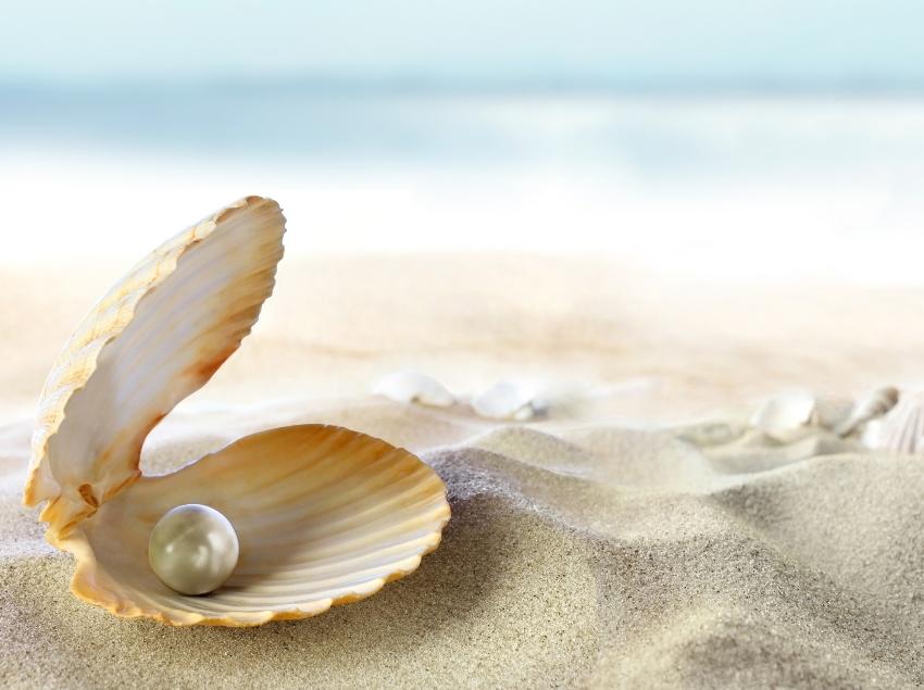 Muschel mit einer Perle am Strand