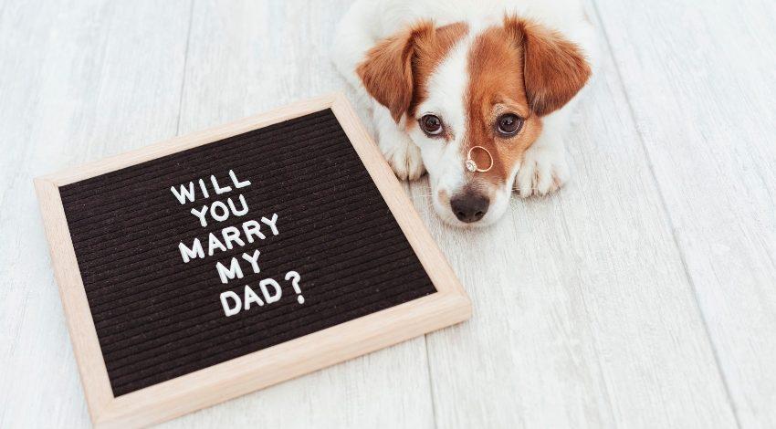 Schild zum Heiratsantrag mit Hund