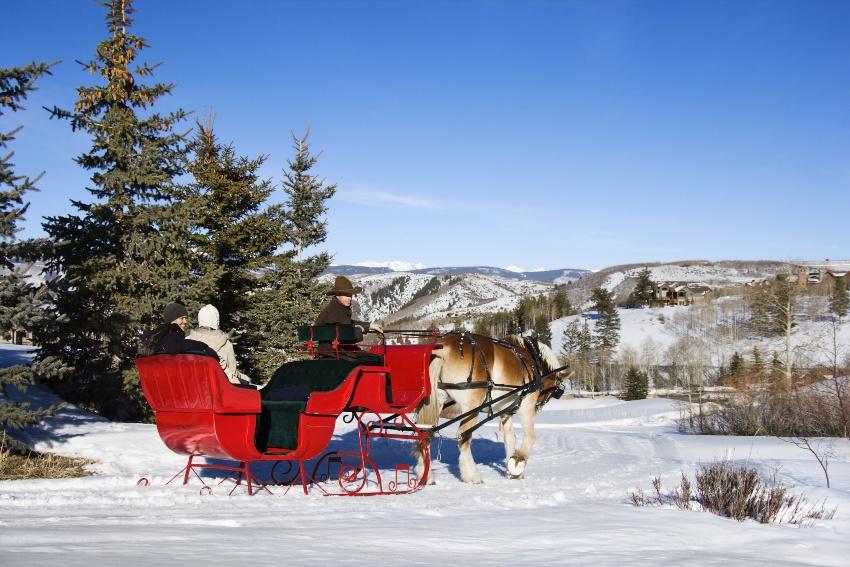 Paar in einem von Pferden gezogenen Schlitten in winterlicher Landschaft